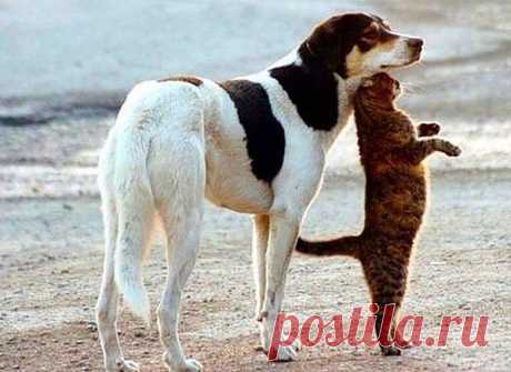 Дружба - Мой Мир@Mail.Ru