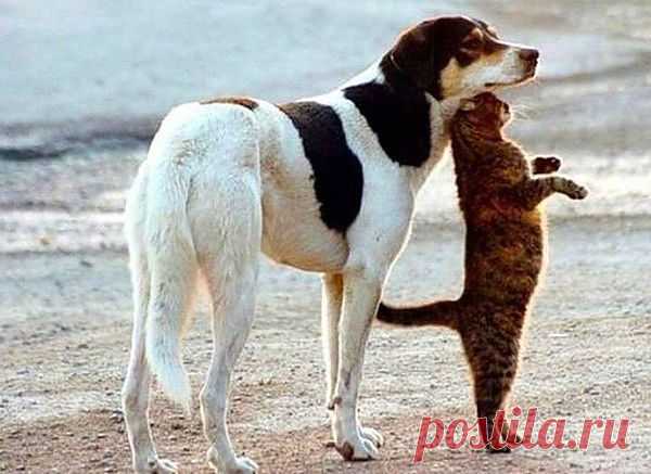 Мой Мир@Mail.Ru