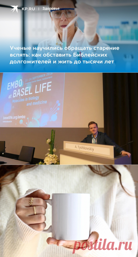 2023-Обращать СТАРЕНИЕ ВСПЯТЬ:надо пить ЗЕЛЁНЫЙ ЧАЙ И КОФЕ. Как обставить Библейских ДОЛГОЖИТЕЛЕЙ и жить до 1000 лет - KP.RU