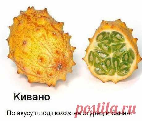 ххххххххххх
