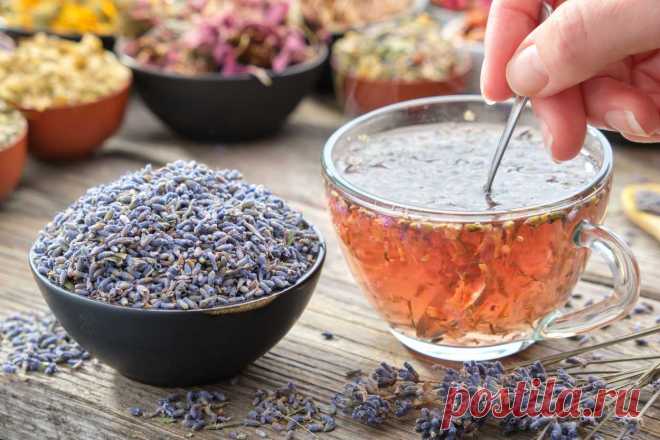 Lavanta Çayının Faydaları Nelerdir, Lavanta Çayı Nasıl Yapılır? - Yemek.com