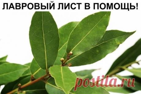 (4) Одноклассники