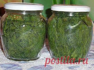 Вкусная еда - кулинарные рецепты на каждый день!: ХРАНЕНИЕ УКРОПА НА НЕСКОЛЬКО МЕСЯЦЕВ СВЕЖИМ БЕЗ ЗАМОРОЗКИ