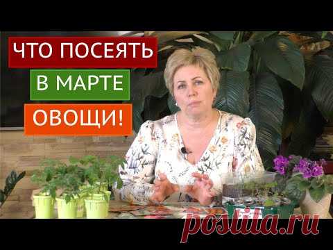 НЕ ОШИБИТЕСЬ СО СРОКАМИ ПОСЕВА! ЭТИ ОВОЩИ МЫ СЕЕМ В МАРТЕ!