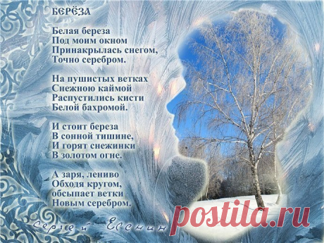 Сохранённые фотографии | 278 фотографий