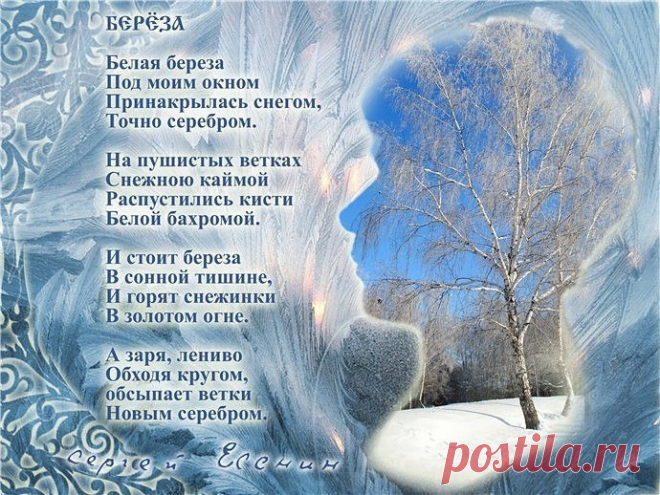 Сохранённые фотографии | 278 фотографий