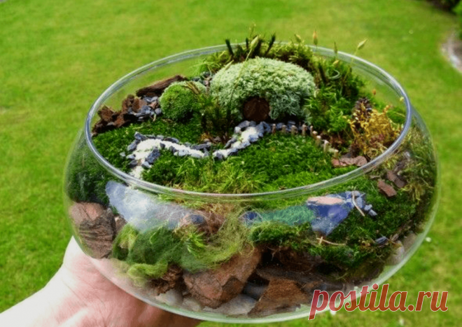 Флорариумы: виды, описание, идеи оформления ~ Planetalsad