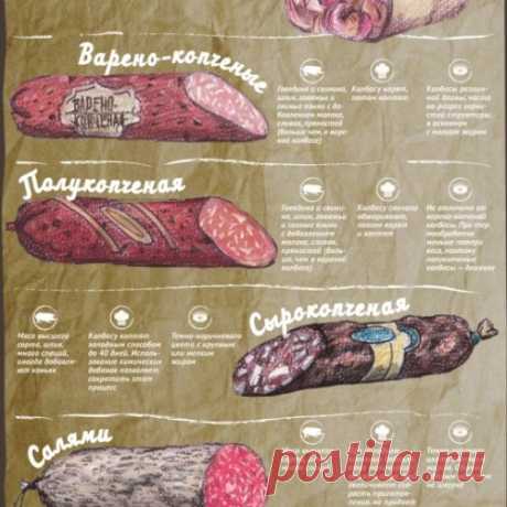 Виды колбасы