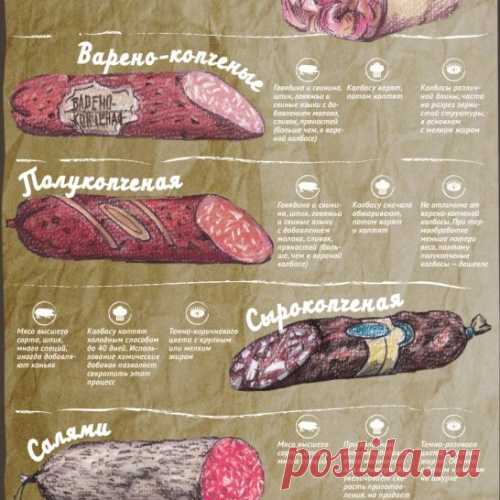 Виды колбасы