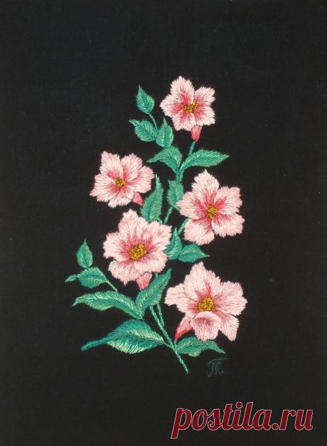 Яндекс.Фотки