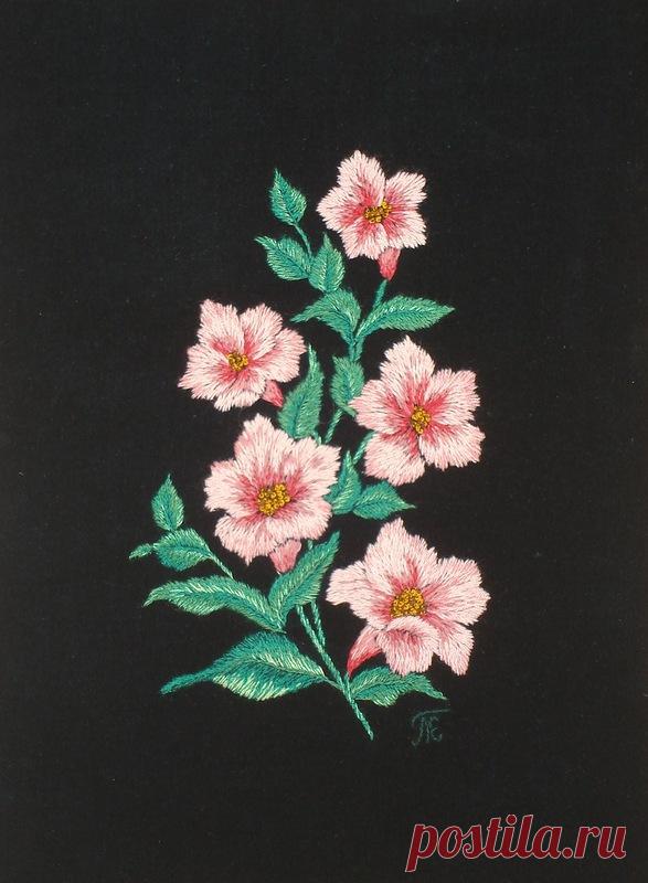 Яндекс.Фотки