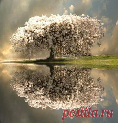 (64) Наталья Коновалова