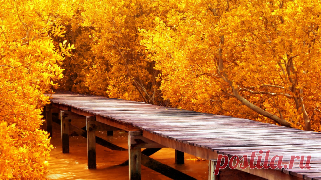 derevya-osen-pirs-prichal.jpg (1366×768)