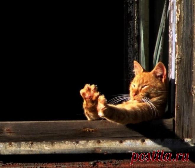 Может маникюр сделать?!