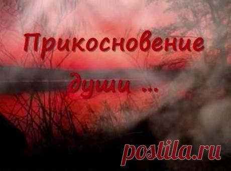 Стихотворение «Прикосновение души», поэт Антипина Наталья