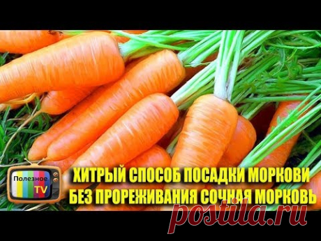 ХИТРЫЙ СПОСОБ ПОСАДКИ МОРКОВИ БЕЗ ПРОРЕЖИВАНИЯ СОЧНАЯ МОРКОВЬ