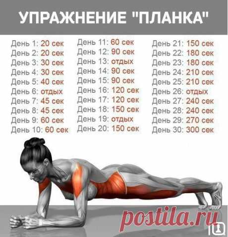 Упражнение &quot;планка&quot;!

Забирай себе, чтобы не потерять