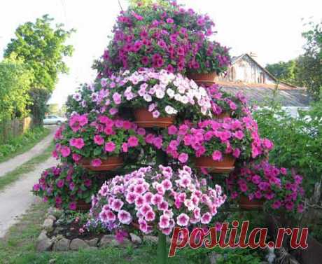Дачный участок: 33 красивых цветника на даче