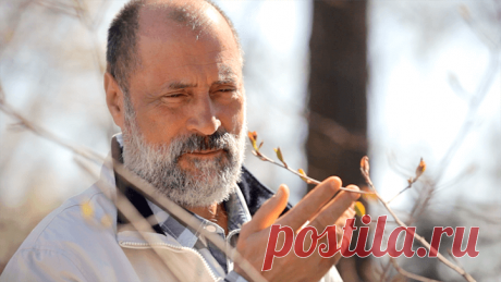 Сергей Лазарев: Хотите быть здоровым? Никогда ни к кому и ни к чему не предъявляйте претензий - Все обо Всем