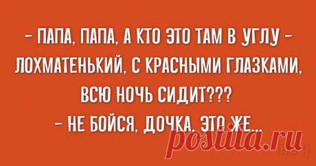 Классная порция позитива: 10 уморительных анекдотов и историй