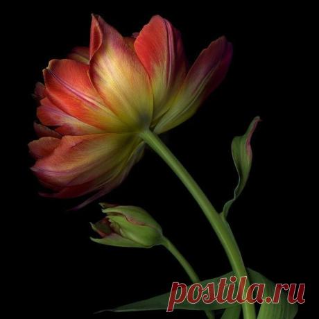 (4) Мой Мир@Mail.Ru