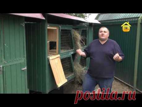 Разведение кроликов. Личный опыт (ForumHouseTV) - YouTube