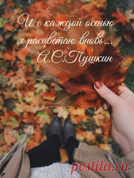 (27) Pinterest