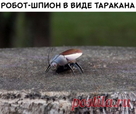#СовременныеТехнологии