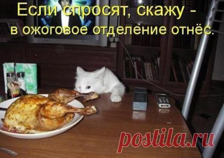 У нас много интересного