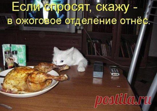 У нас много интересного