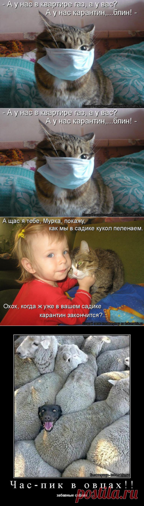 Свежая котоматрица. Коты на карантине
Среда. Пора выкладывать для вас свежую котоматрицу. Сегодня она естественно тематическая. Куда...
Читай дальше на сайте. Жми подробнее ➡