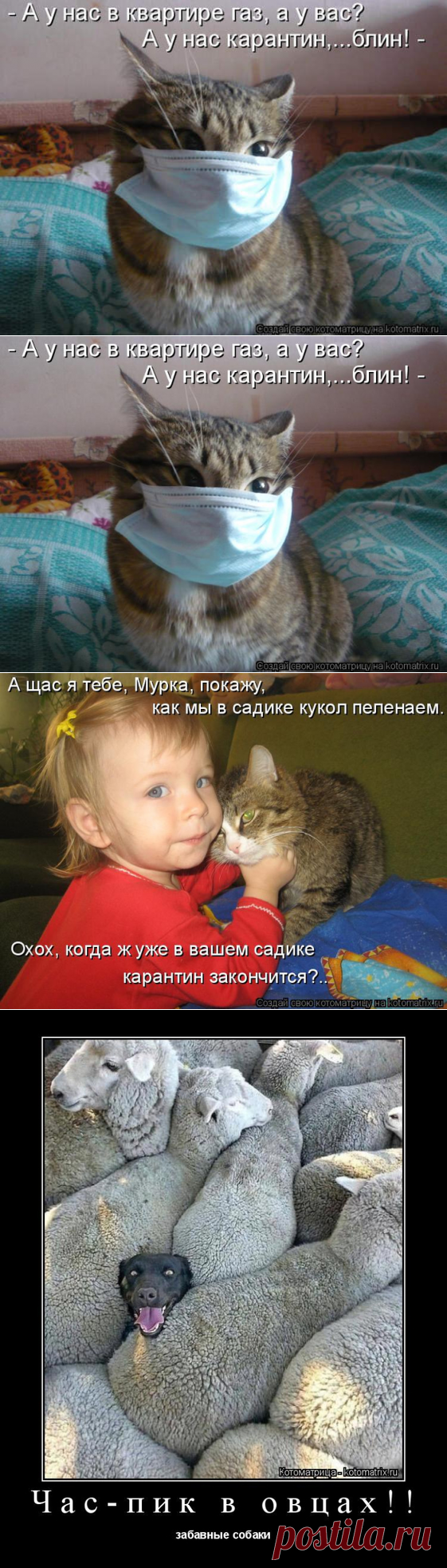 Свежая котоматрица. Коты на карантине
Среда. Пора выкладывать для вас свежую котоматрицу. Сегодня она естественно тематическая. Куда...
Читай дальше на сайте. Жми подробнее ➡