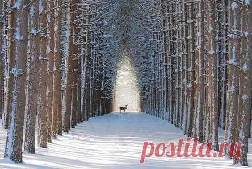 Действительно, редкой красоты кадр...