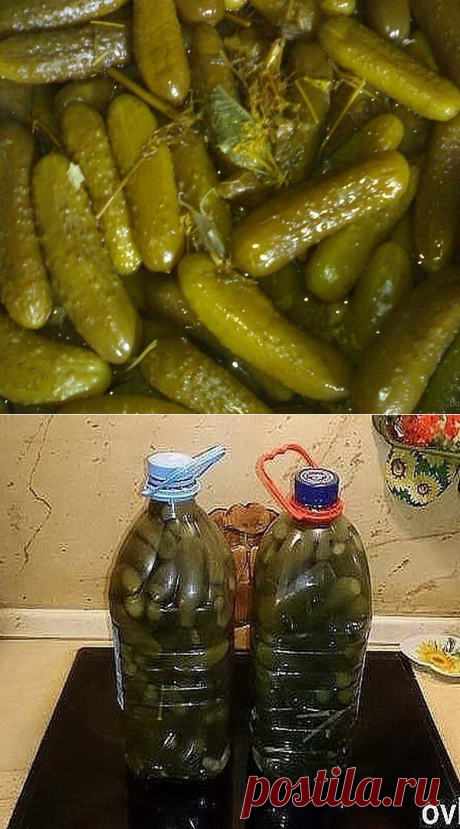 Одноклассники
