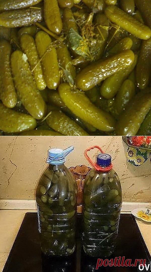 Одноклассники