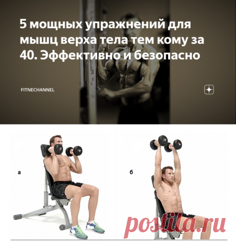 5 мощных упражнений для мышц верха тела тем кому за 40. Эффективно и безопасно | fitnechannel | Яндекс Дзен