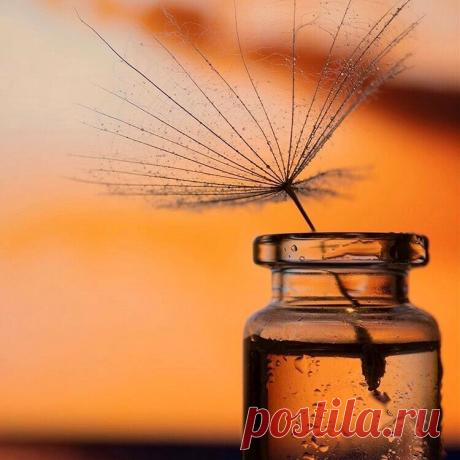 Чтобы светиться снаружи, надо зажечь Солнце внутри…