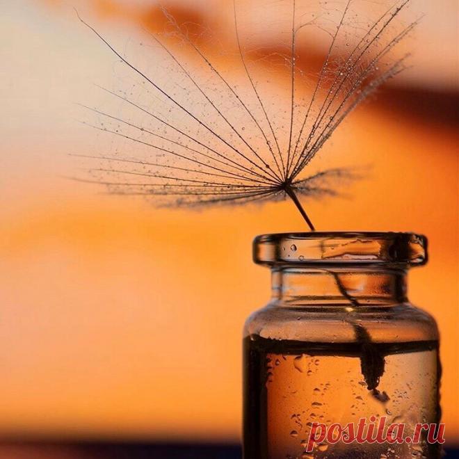 Чтобы светиться снаружи, надо зажечь Солнце внутри…