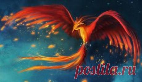 птица феникс рисунок - 8 940 картинок. Поиск Mail.Ru