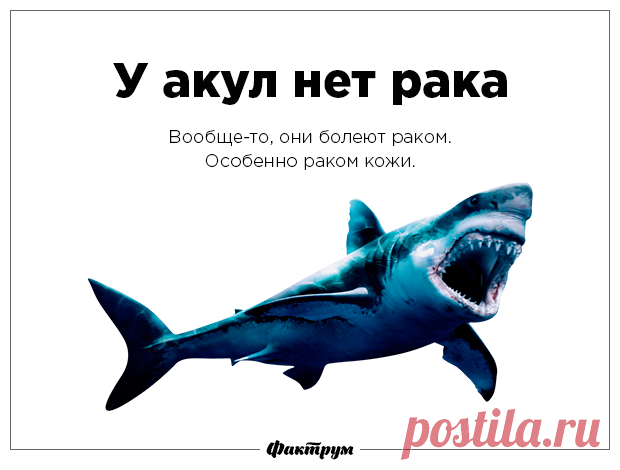 35 популярных «фактов», которые не имеют ничего общего с истиной