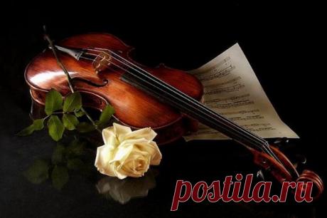 Наши помошники от Ириши