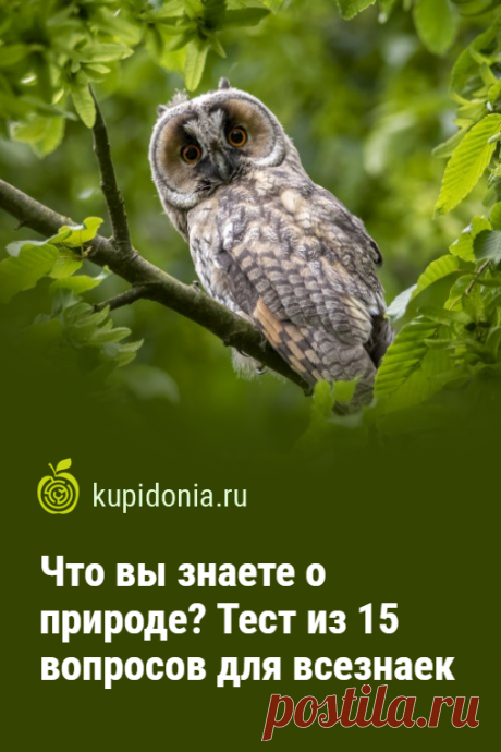 Что вы знаете о природе? Тест из 15 вопросов для всезнаек. Тест о природе, который вы найдете на этой странице, состоит из 15 занимательных вопросов. Даёте себе отдохнуть от насущных дел и проверьте свои знания!