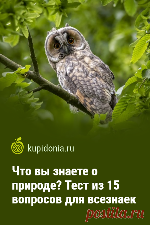 Что вы знаете о природе? Тест из 15 вопросов для всезнаек. Тест о природе, который вы найдете на этой странице, состоит из 15 занимательных вопросов. Даёте себе отдохнуть от насущных дел и проверьте свои знания!