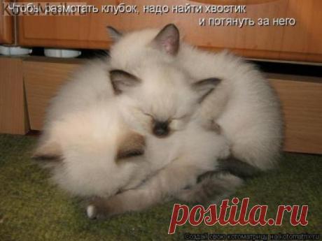 Как размотать клубок?