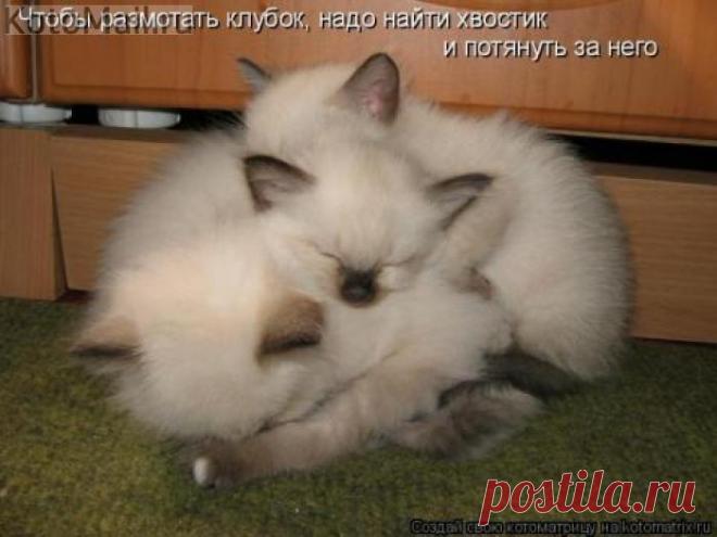 Как размотать клубок?