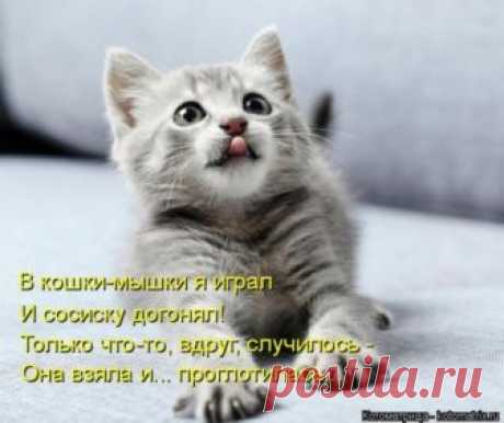 Свежая котоматрица для всех (36 фото) Еженедельная порция позитива и котиков для всех наших читателей!Всем приятных выходных и отличного настроения!





































