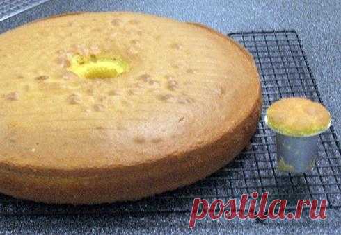 Секреты и начинки пирогов на жидком тесте | Четыре вкуса