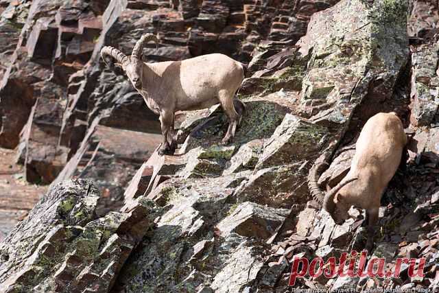 (78) Одноклассники