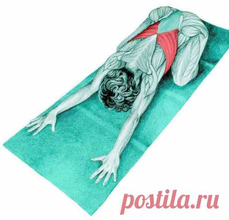 Как простым способом можно решить проблему болей в спине