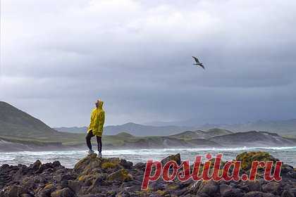 Два землетрясения произошли у побережья российского региона. У побережья Курильских островов произошли два землетрясения магнитудой 4,9 и 4,8. Об этом заявила начальник сейсмостанции «Южно-Сахалинск» Елена Семенова. По ее словам, эпицентры толчков находились в 113 и 128 километрах к юго-востоку от острова Итуруп. Данные об ощущаемости землетрясений уточняются.